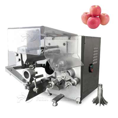 commercial apple peeler corer slicer/mini apple peeling machine